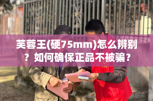 芙蓉王(硬75mm)怎么辨别？如何确保正品不被骗？